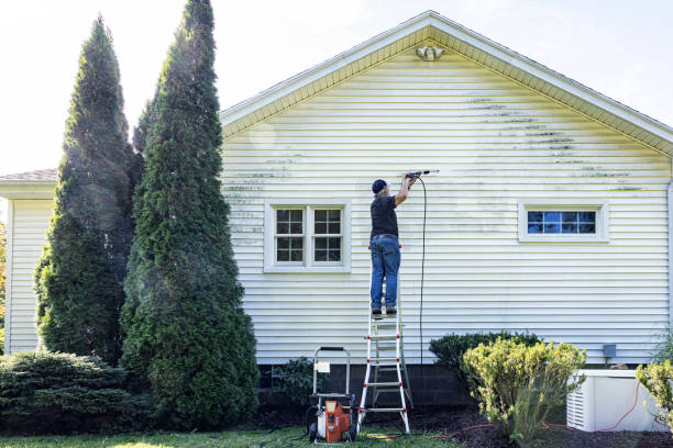 Best Building Exterior Washing  in Denison, TX